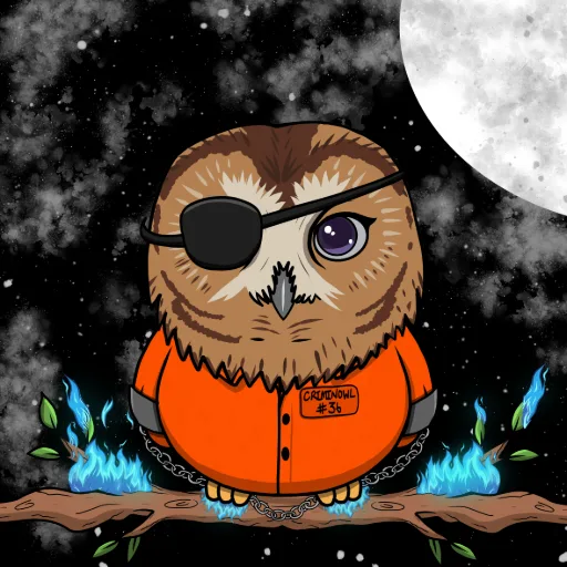 HooTang #1049, the Hoot Hollister 1/1